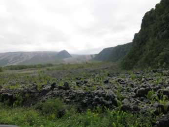Die Lavafelder