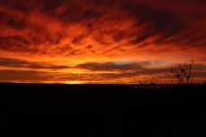 Sonnenaufgang am Cape Arid