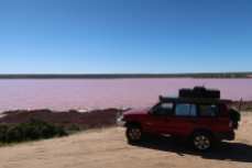 Ein paar Km ausserhalb von Kalbarri gibts einen Pink Lake ;-)